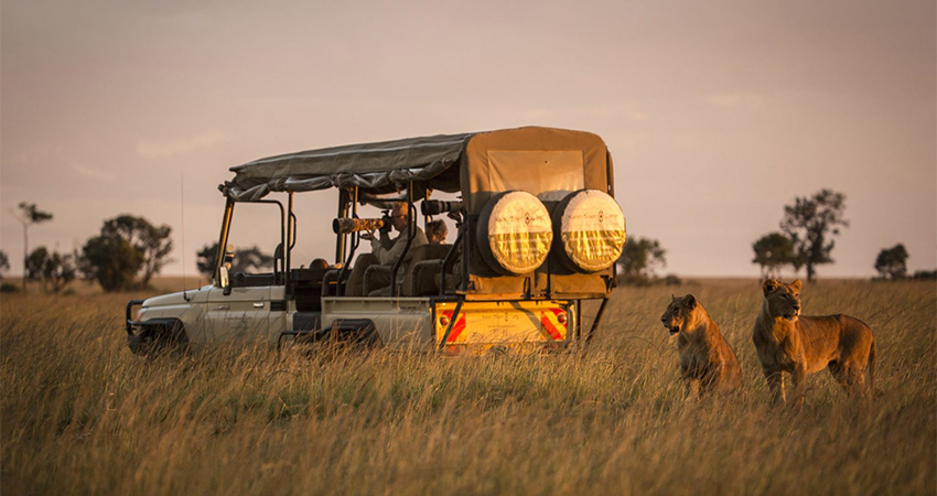 10-days-masai-mara-lake-nakuru-samburu-sweetwaters-treehotel-amboseli-safari