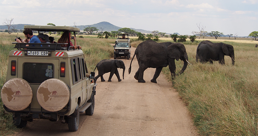 2-days-lake-manyara-ngorongoro-crater-safari