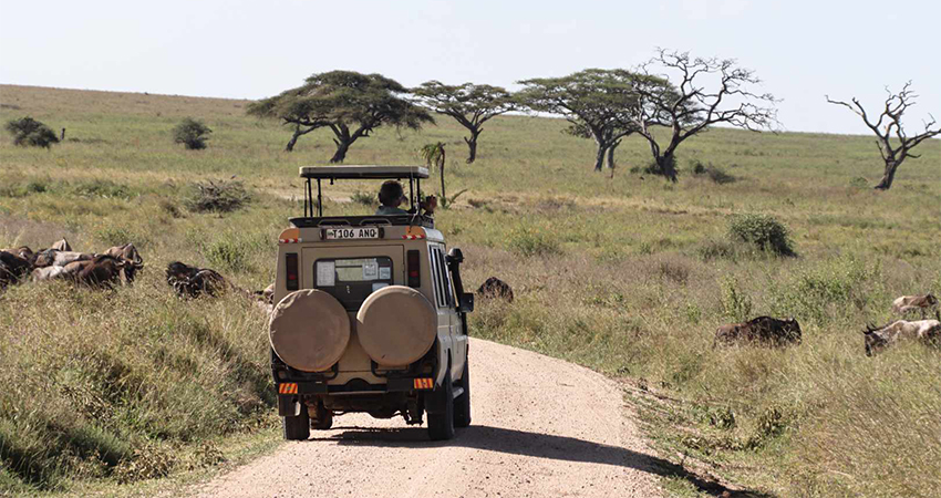 6-days-lake-manyara-ngorongoro-crater-serengeti-tarangire