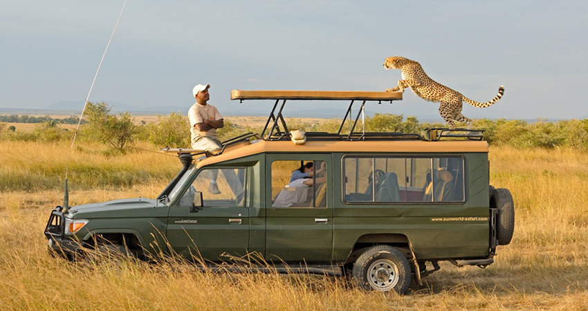 6-days-masai-mara-lake-nakuru-amboseli-1
