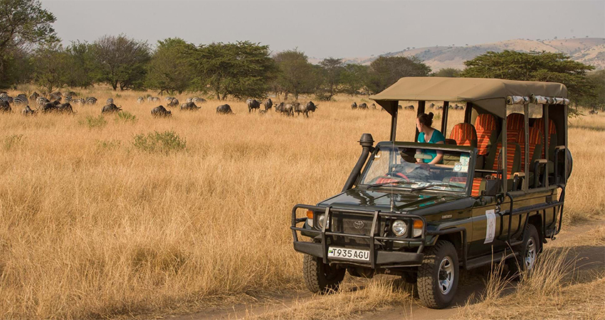 7-days-lake-manyara-serengeti-ngorongoro-crater-tarangire