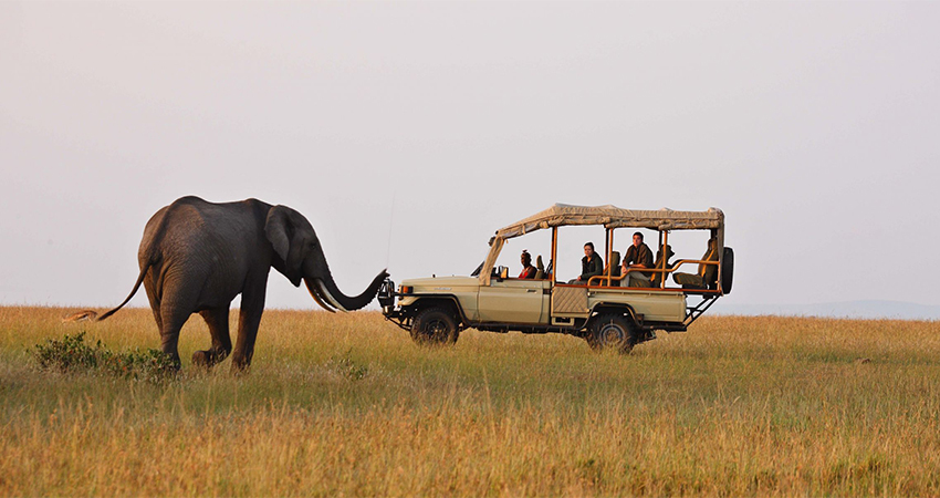 8-days-masai-mara-lake-nakuru-samburu-sweetwaters-treehotel