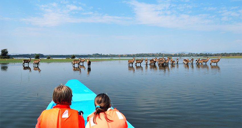 lake-naivasha-boat-ride-day-trip